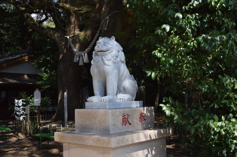 大津日吉神社_狛犬4