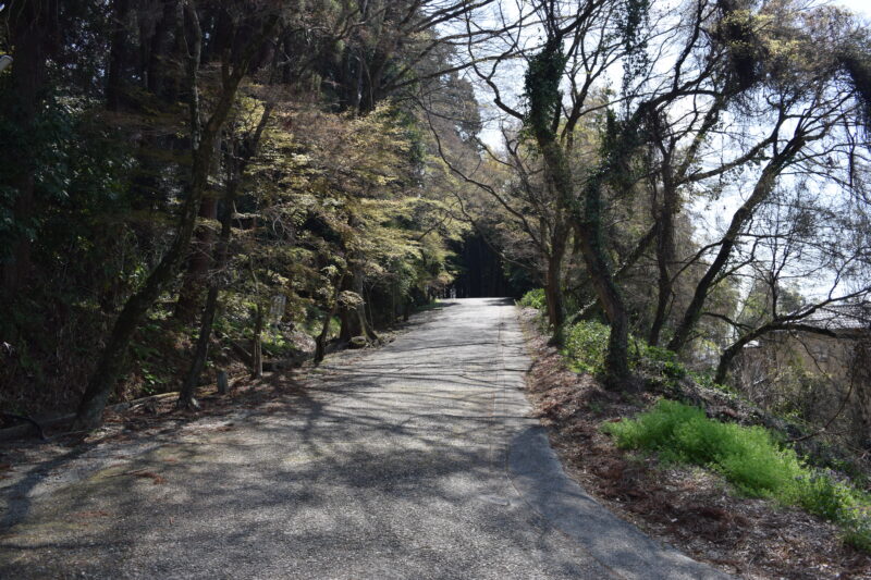 大津日吉神社_経路5