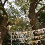 大津日吉神社_ギャラリー6