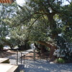 木山神宮_ギャラリー⑦