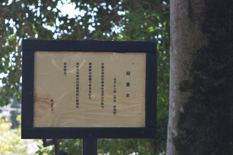 木山神宮_招霊木2