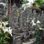 願成寺_ギャラリー3