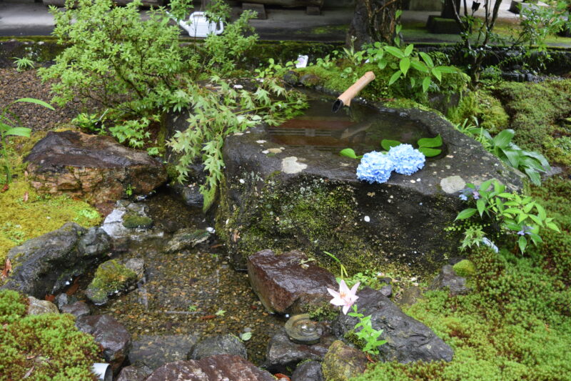 新宮禪寺_打手水お寺前