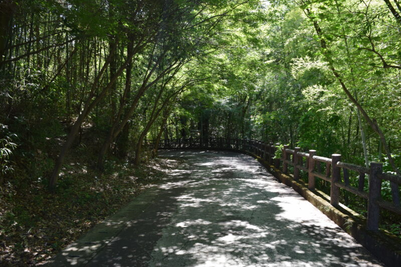 雲巌禅寺_経路4-2