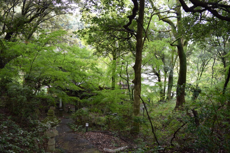 日輪寺_石体観音三十三基への参道1