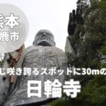 【日輪寺】山鹿市の赤穂浪士にご縁あるつつじの名所を案内