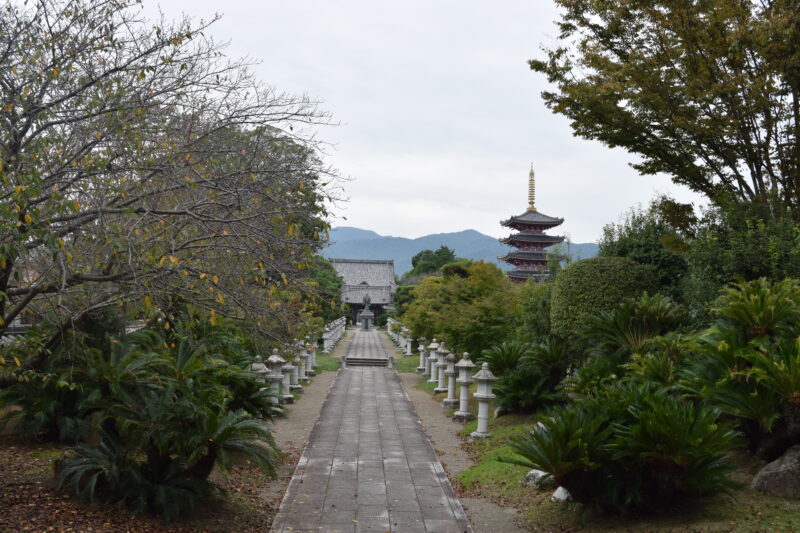 蓮華院誕生寺南大門_参道