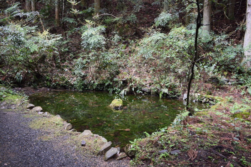 谷水薬師_裏の池1