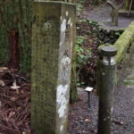 谷水薬師堂_メディア5