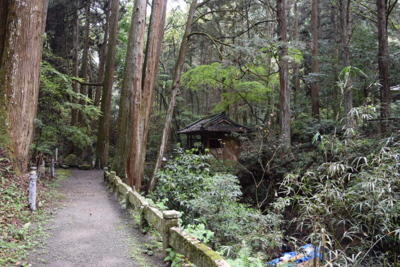 谷水薬師堂_徒歩で向かう3