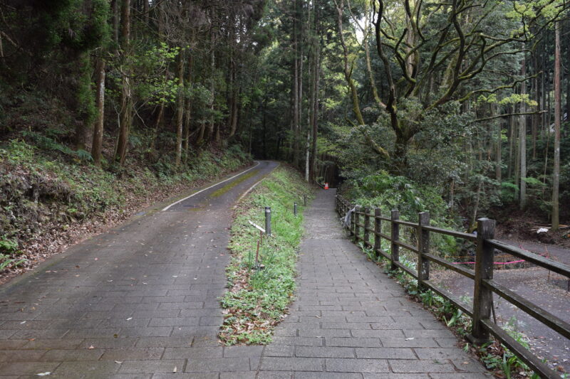 谷水薬師堂_徒歩で向かう2