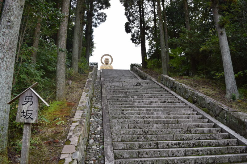 蓮華院誕生寺奥之院_皇円大菩薩の大仏様1