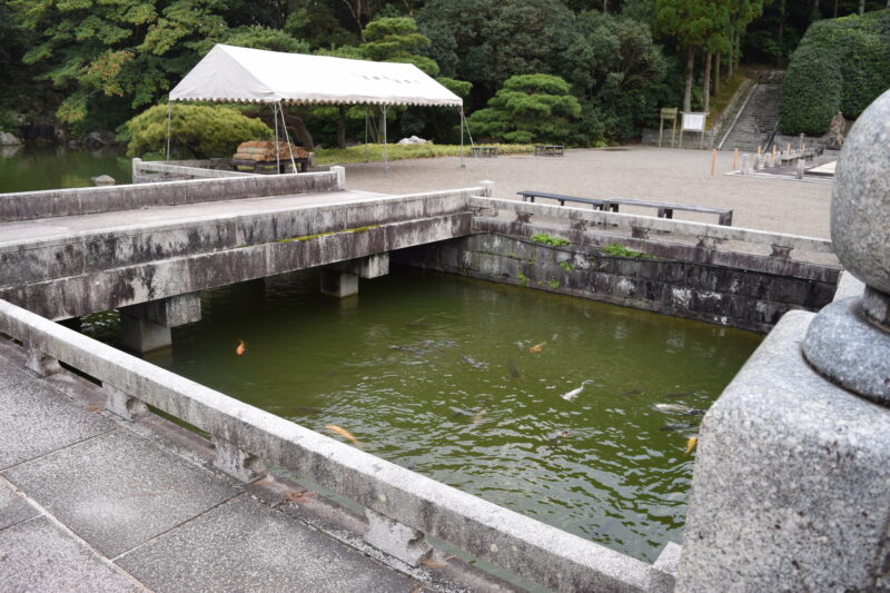 蓮華院誕生寺奥之院_柴燈大護摩道場1