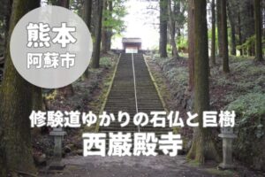 【西巌殿寺】境内の見どころまとめ｜石仏・巨木・修験遺構を巡る
