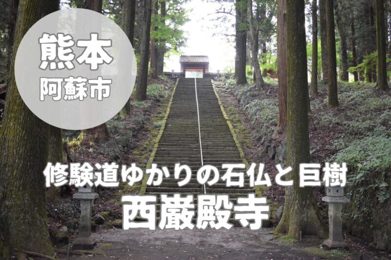 【西巌殿寺】境内の見どころまとめ｜石仏・巨木・修験遺構を巡る