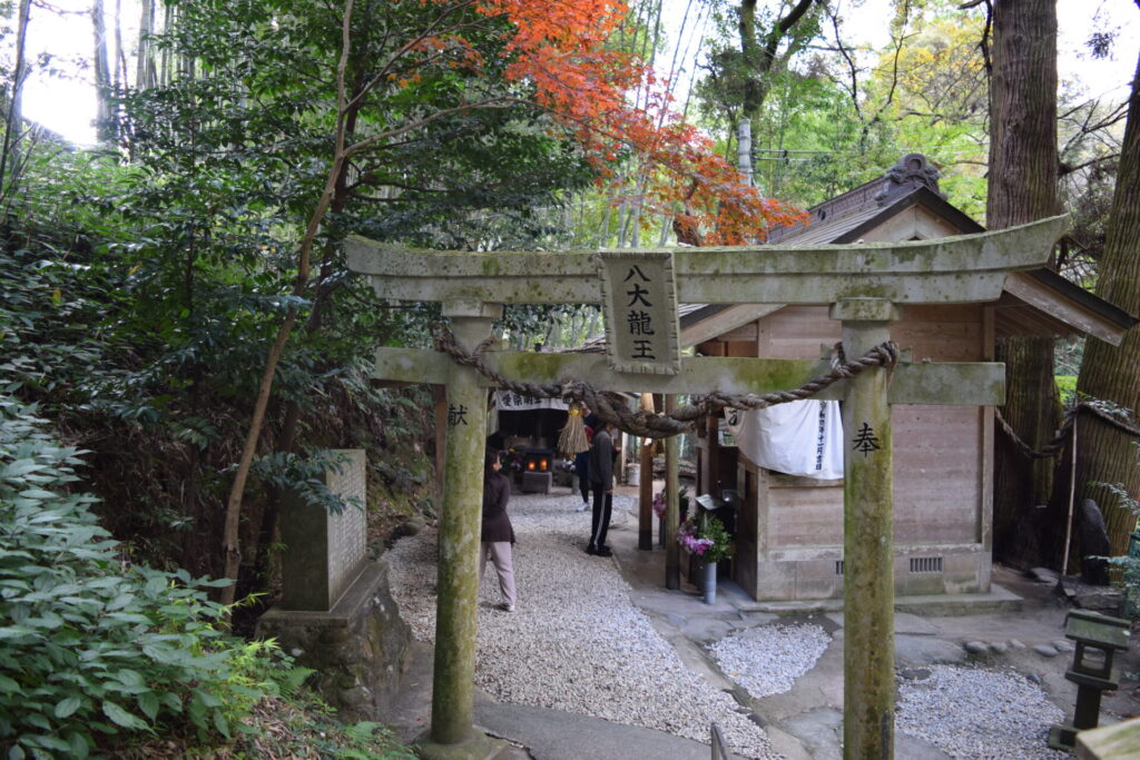 神龍八大龍王神社】宇宙最強の金運上昇なスピリチュアルスポット