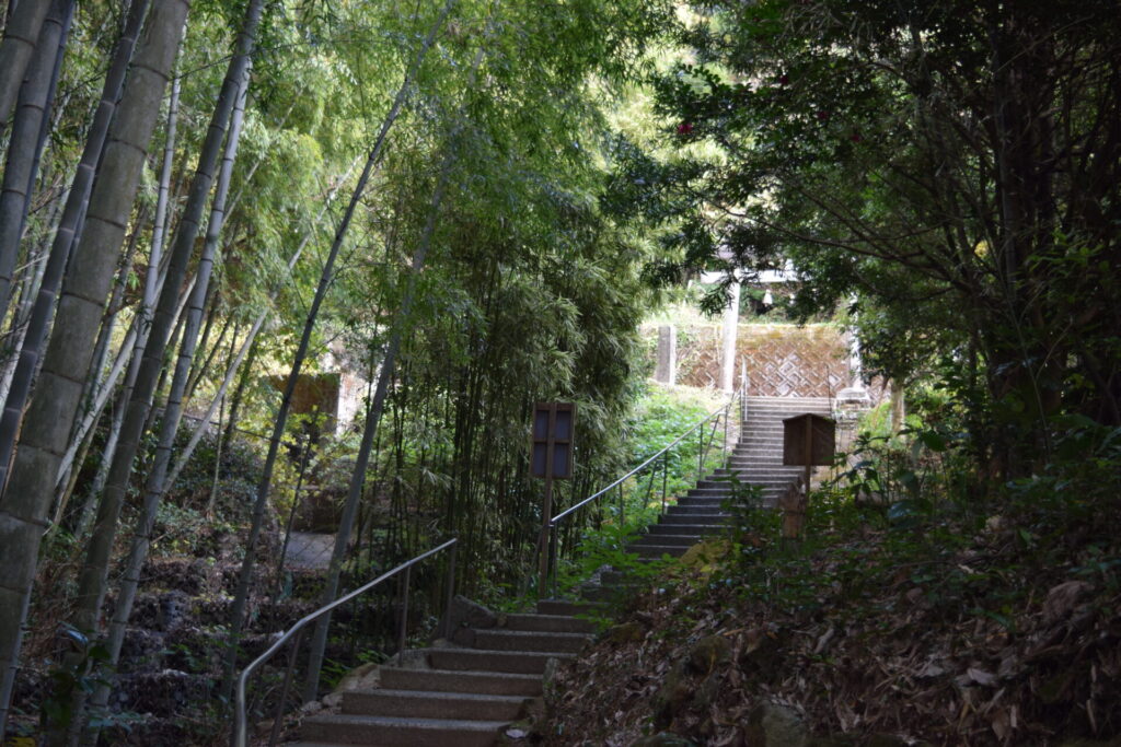 神龍八大龍王神社】宇宙最強の金運上昇なスピリチュアルスポット