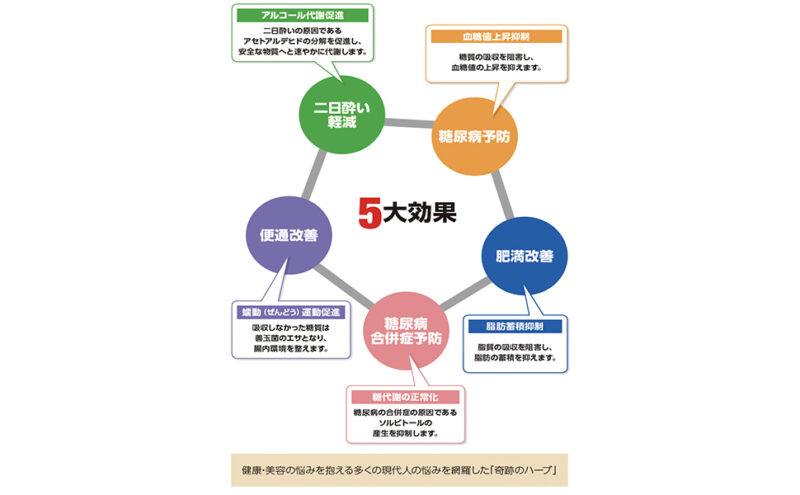 コタラヒムブツの秘密