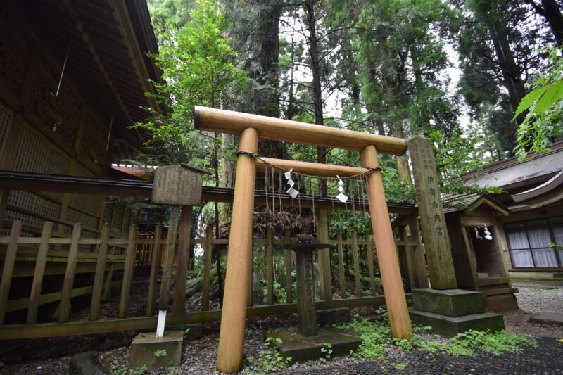 幣立神宮_御神木