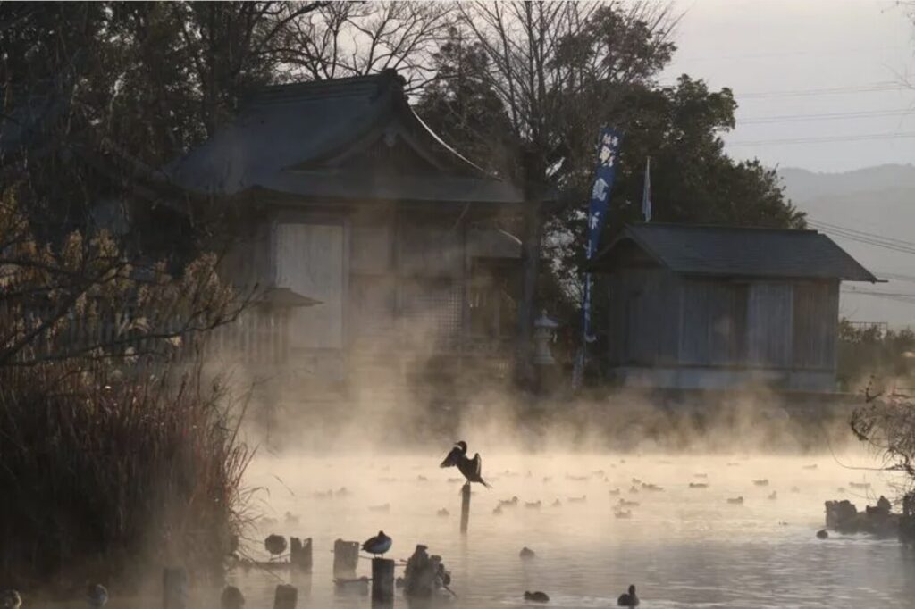 【写真】1000年を超えて湧く清水の中に！ | 熊本県 | トラベルjp 旅行ガイド