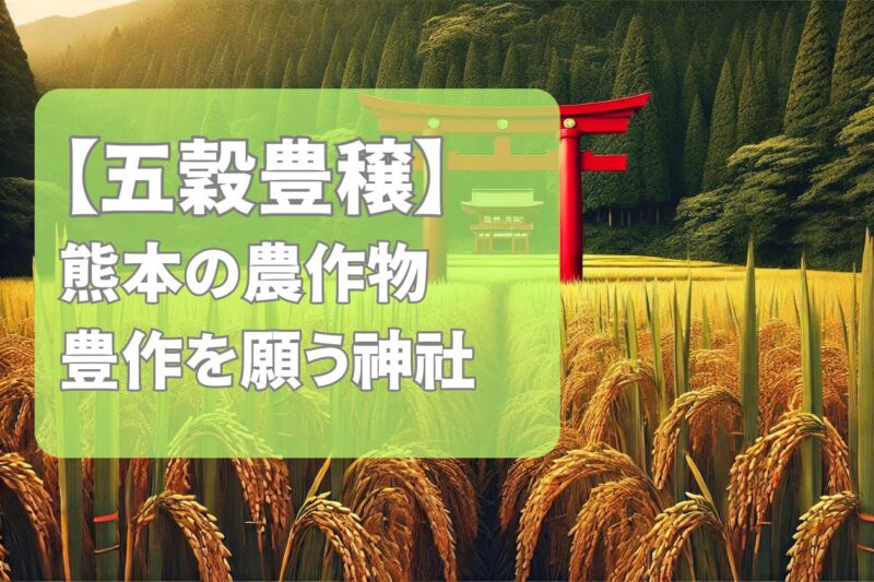 【地元で評判】五穀豊穣を願う！熊本県でおすすめの神社を紹介