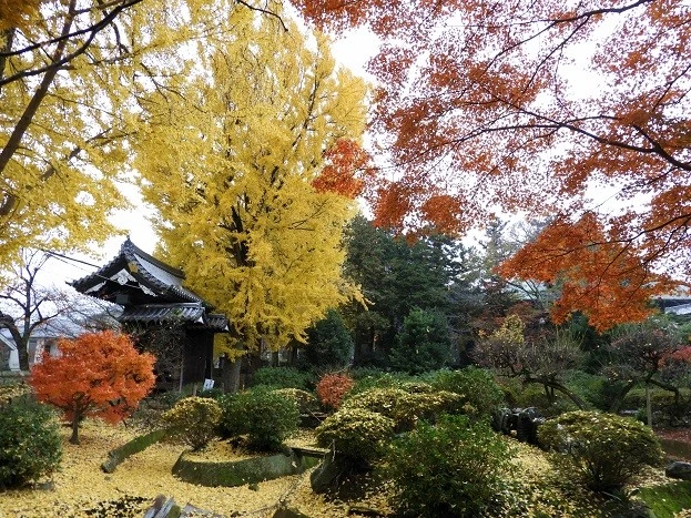 熊本 本妙寺 - HARD HEAD