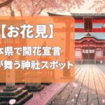 【2025年版】開花宣言でピンクに彩る熊本県の桜名所|神社編